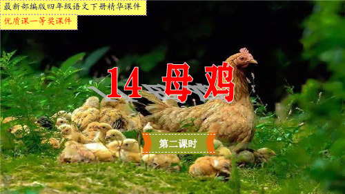 最新部编版四年级语文下册《14母鸡》第二课时【省级优质课一等奖课件】