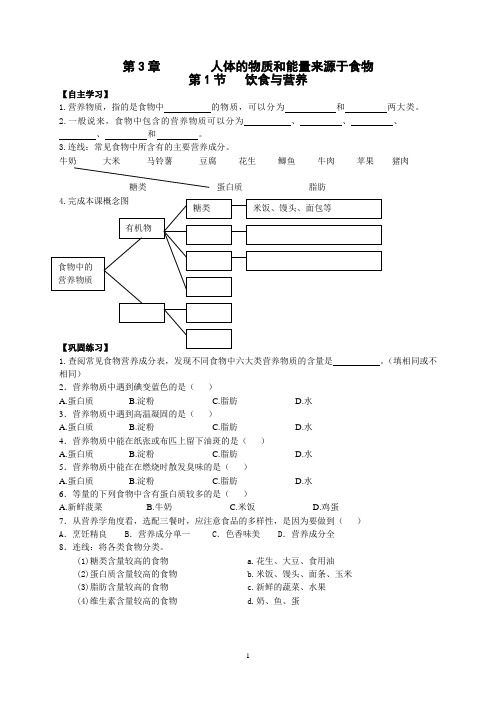 第3章人体的物质和能量来源于食物