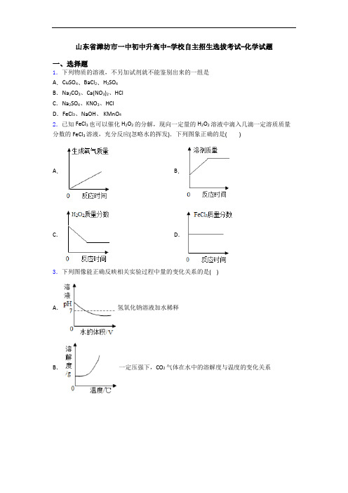 山东省潍坊市一中初中升高中-学校自主招生选拔考试-化学试题