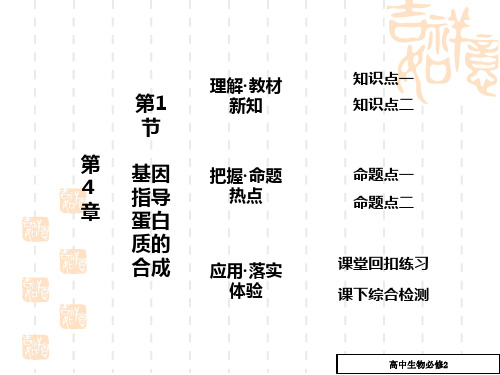 高中生物基因指导蛋白质的合成课件1_高一生物课件