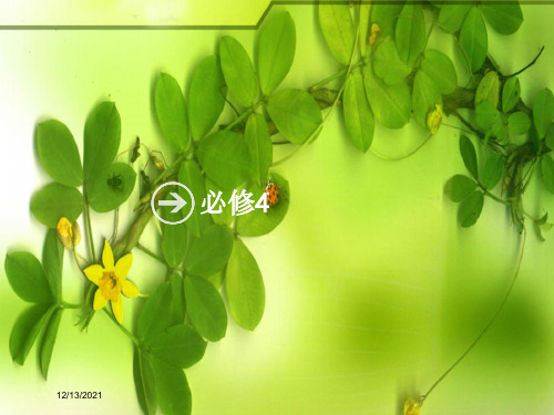 高考英语一轮复习 unit 1 women of achievement课件_00001