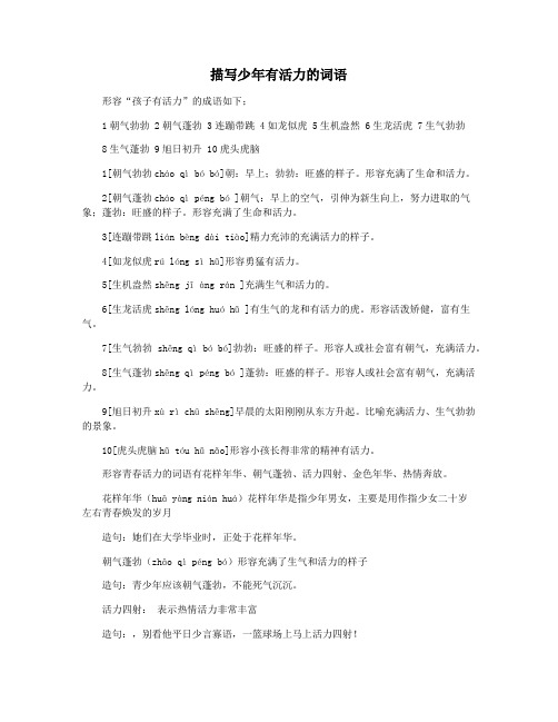 描写少年有活力的词语