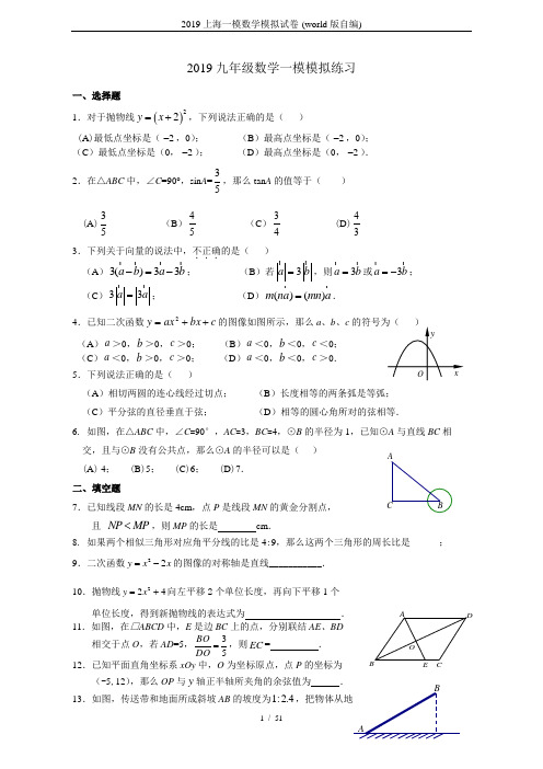 2019上海一模数学模拟试卷-(world版自编)