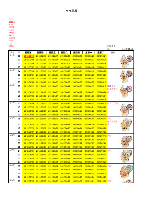 宝宝 孕周表