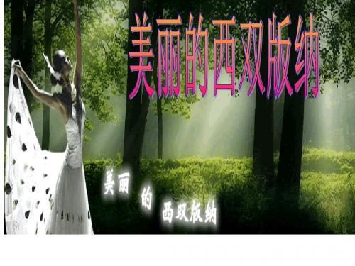 苏教版八年级上册精品课件《美丽的西双版纳 》