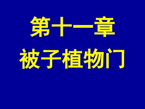 南医大药用植物学课件11被子植物门-1桑科、廖科