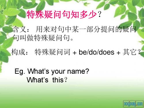 unit1 Grammar 特殊疑问词和不定冠词