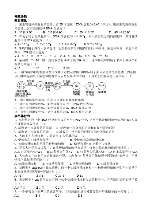 减数分裂(题目版)