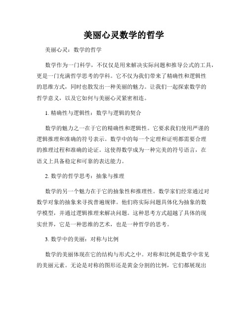 美丽心灵数学的哲学