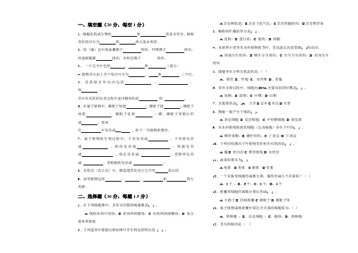 植物学试卷 A卷