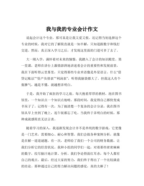 我与我的专业会计作文