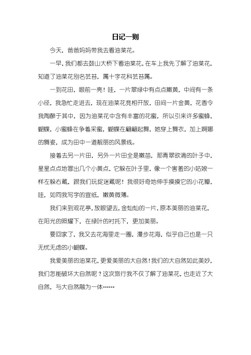 日记：日记一则500字
