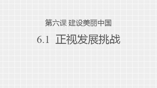 九年级道德与法治上册《正视发展挑战》PPT优秀课件