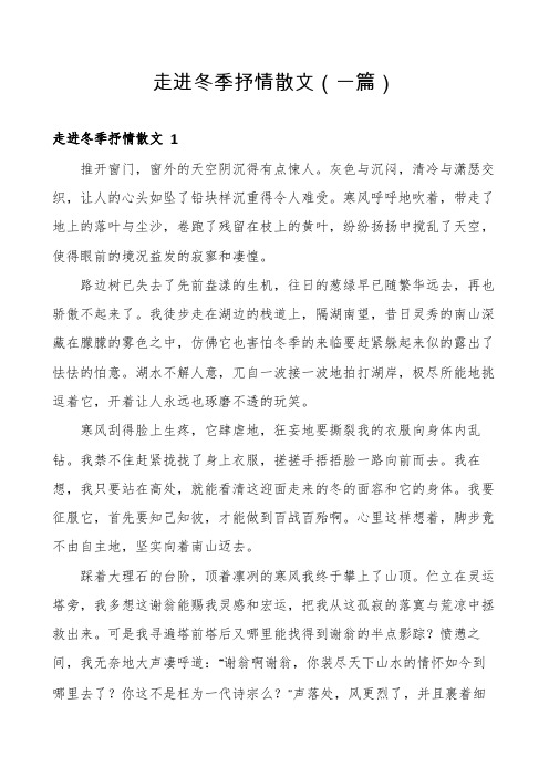 走进冬季抒情散文(一篇)