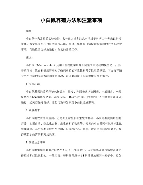 小白鼠养殖方法和注意事项