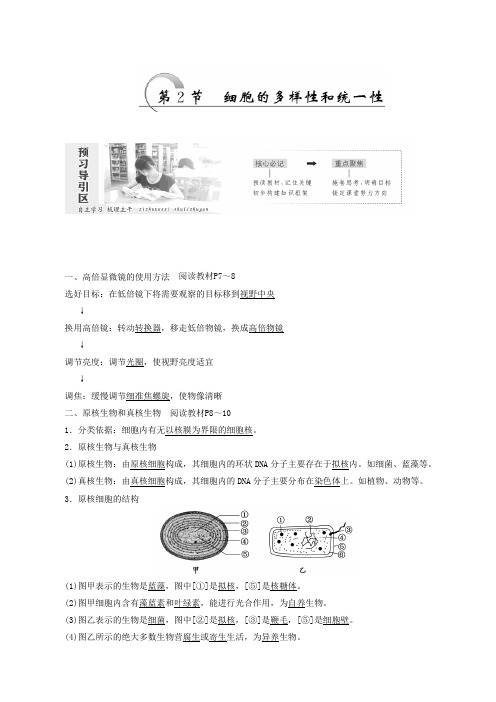 人教版生物必修一同步学案第1章第2节 细胞的多样性和统一性