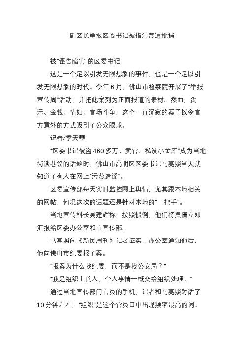 副区长举报区委书记被指污蔑遭批捕