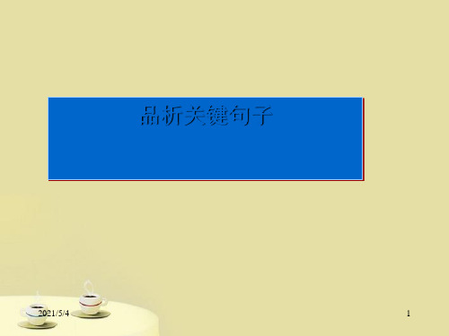 高中语文-记叙文阅读-句子赏析课件