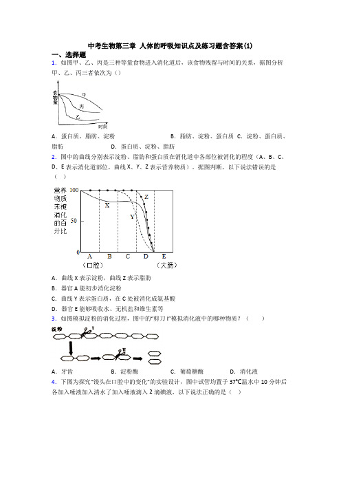 中考生物第三章 人体的呼吸知识点及练习题含答案(1)