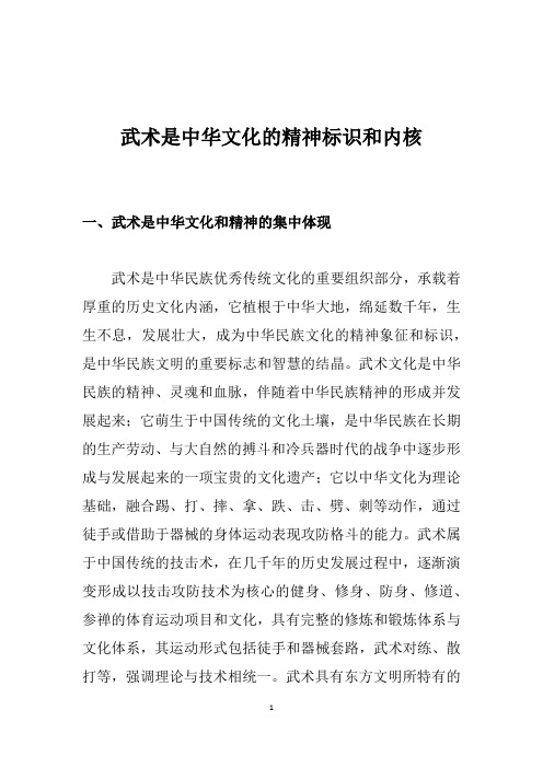 武术是中华文化的精神标识和内核——卢飞宏