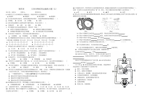 血液循环练习题