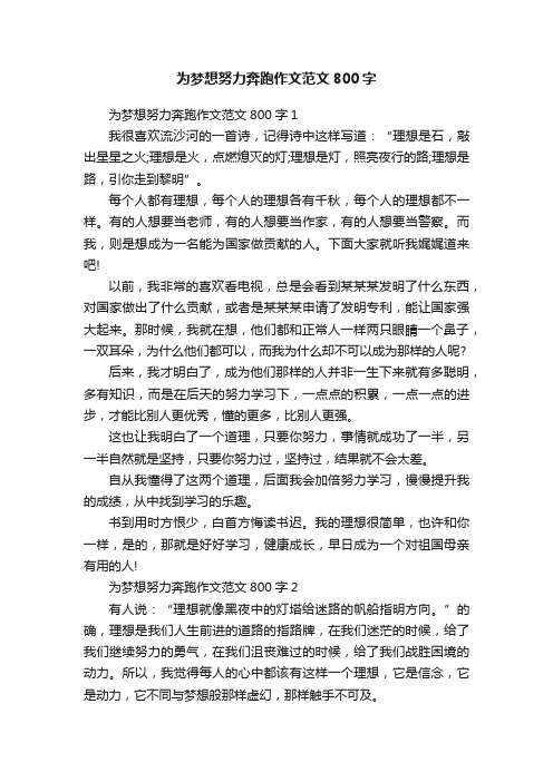 为梦想努力奔跑作文范文800字