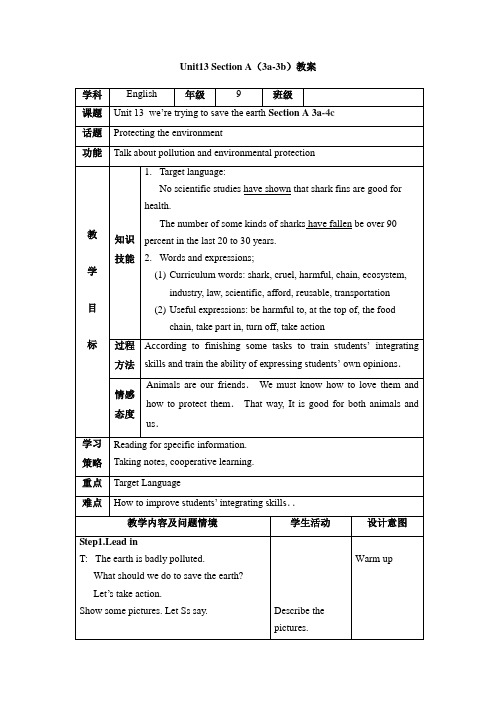 英语人教版九年级全册unit13 Section A (3a-3b)教案