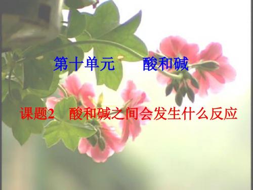 酸和碱之间会发生什么反应 PPT教学课件13 人教版