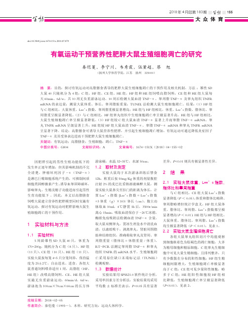 有氧运动干预营养性肥胖大鼠生殖细胞凋亡的研究
