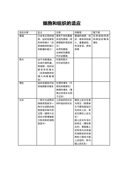 病理总结表格