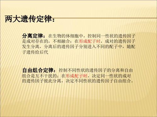 减数分裂过程及DNA、染色体和染色单体的变化