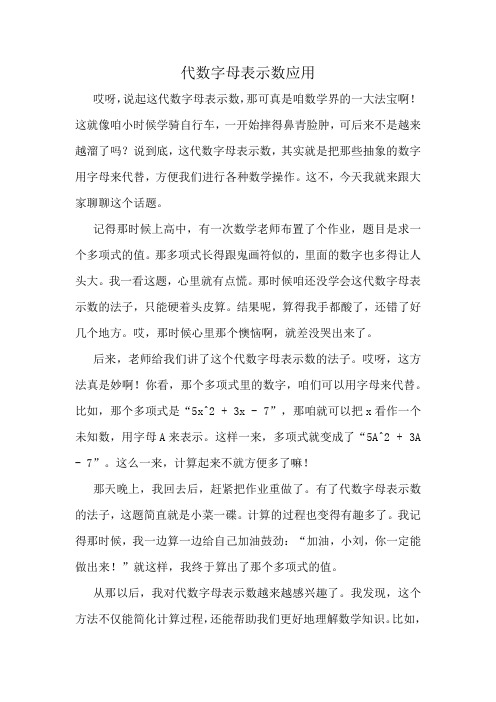 代数字母表示数应用