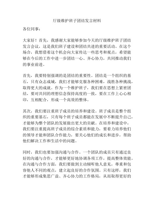 厅级维护班子团结发言材料