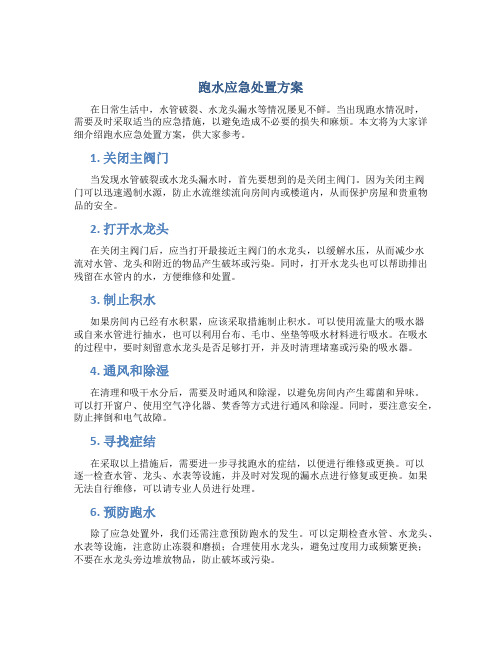 跑水应急处置方案