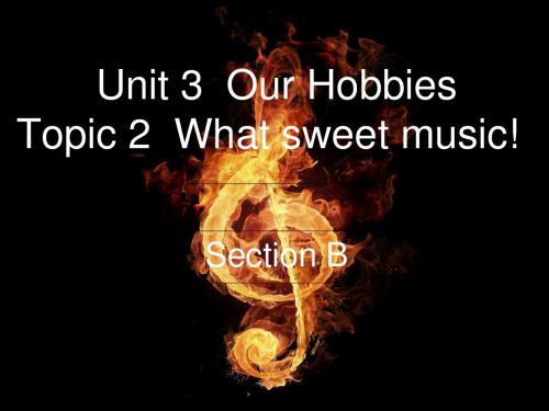 八年级英语上册-Unit 3 Our Hobbies Topic 2 What sweet music Section B课件2 (新版)仁爱版