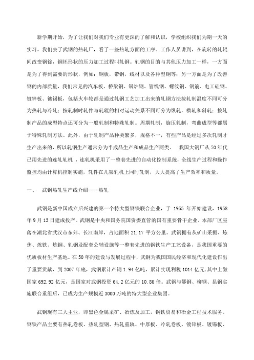 武钢热轧厂实习报告