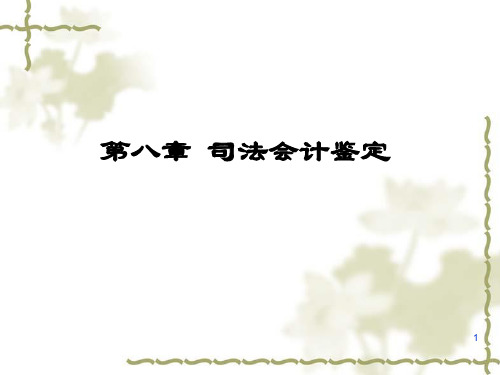 第八章司法会计鉴定