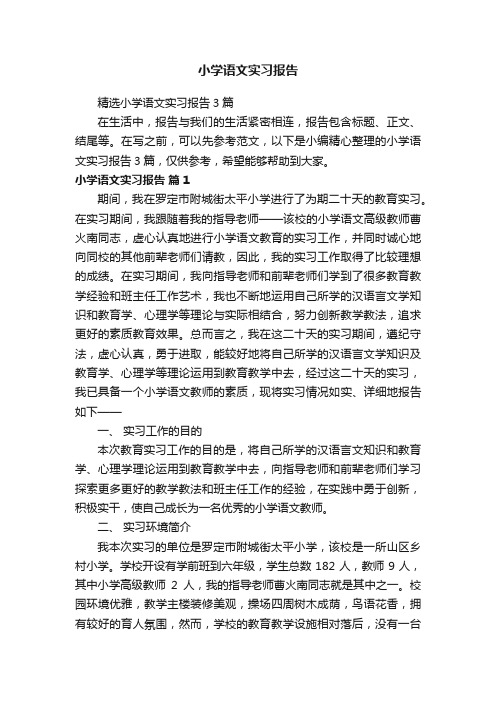 精选小学语文实习报告3篇