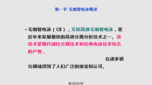 毛细管电泳课件PPT课件