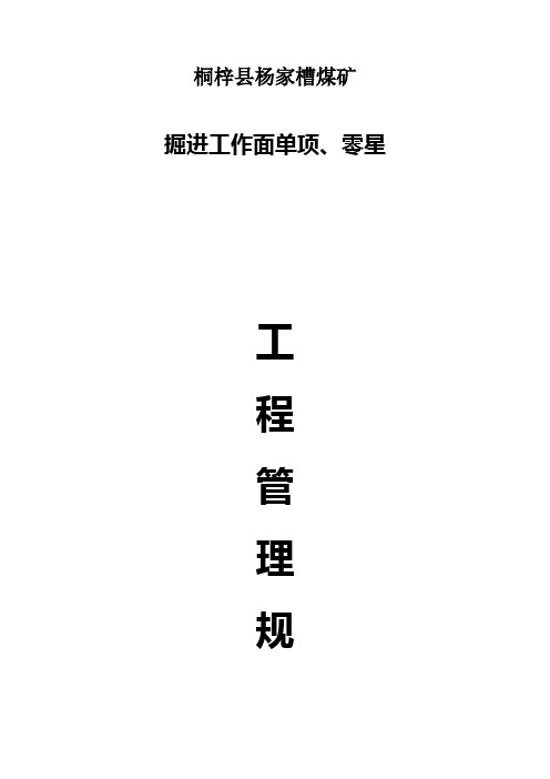 煤矿井下单项、零星工程管理规定