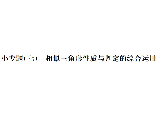 人教版九年级数学下册习题课件：小专题(七)相似三角形性质与判定的综合运用(共19张PPT)