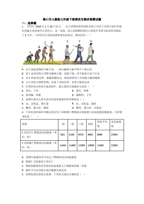 海口市人教版七年级下册期末生物试卷测试题