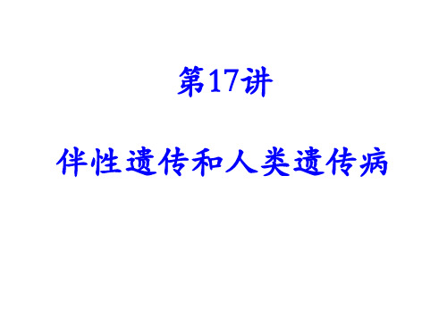 高中生物课件-  伴性遗传和人类遗传病