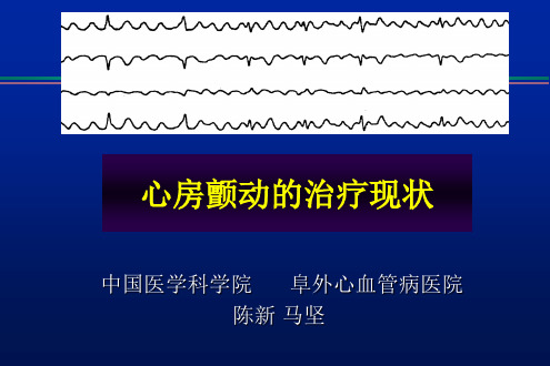 陈新心房颤动的治疗