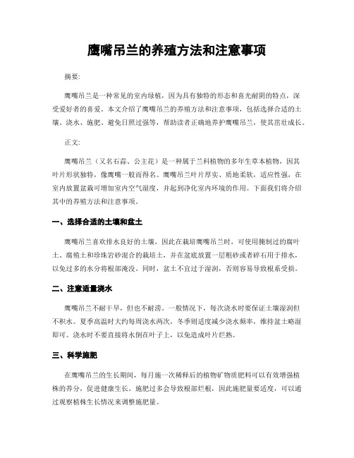 鹰嘴吊兰的养殖方法和注意事项