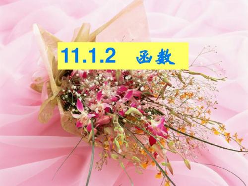 11.1.2函数vb