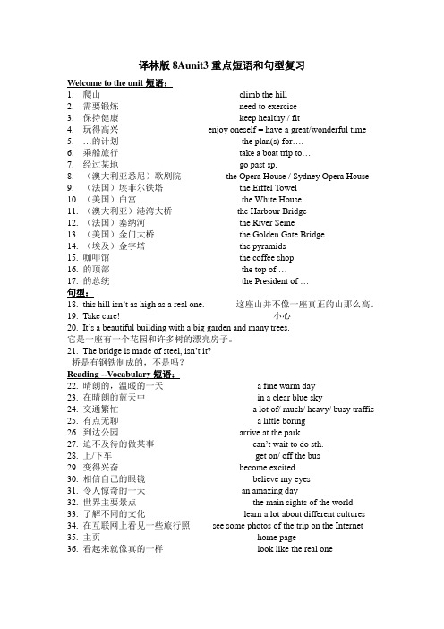 8Aunit3重点短语句型语法复习