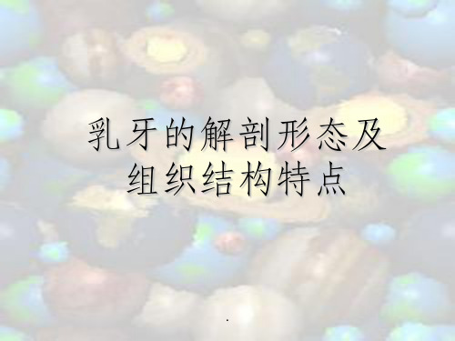 乳牙的解剖发育及发育异常