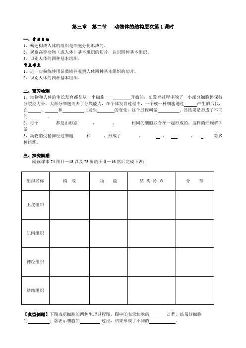 第三章 第二节 动物体的结构层次第1课时 学案