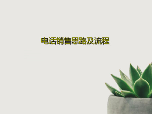 电话销售思路及流程48页PPT